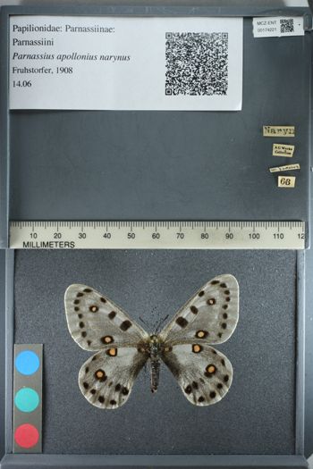 Media type: image;   Entomology 174221